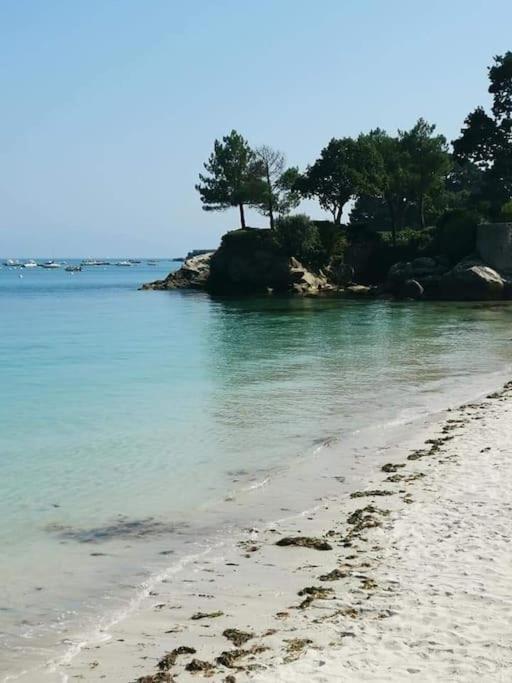 Face A La Mer Fouesnant Luaran gambar